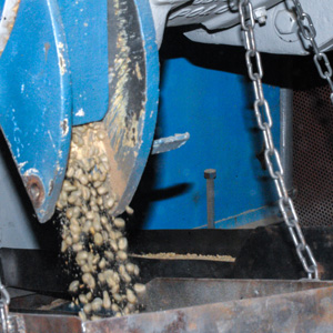 Hulling