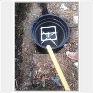 Luz Mery Cuellar Reyes - Tanques, STAM